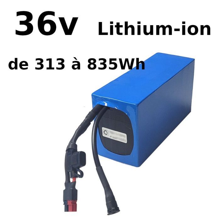 Avis / test - FREEDOH Batterie Vélo électrique 36V 14Ah Batterie  Lithium-ION PVC étanche Batterie Vélo électrique pour Moteur Vélo [33] -  AUCUNE - Prix